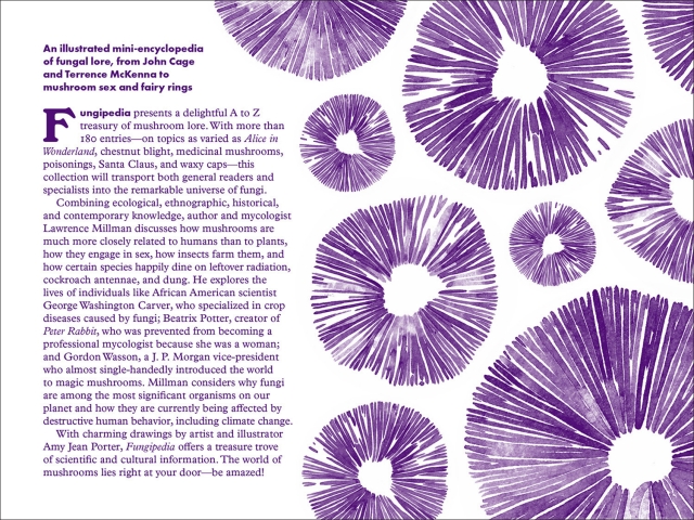 Fungipedia endpapers