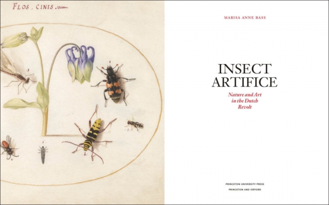 Insect Artifice title page