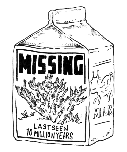 Illustration of a small milk carton that has on one side a picture of coral and the text "MISSING, LAST SEEN 10 MILLION YEARS"