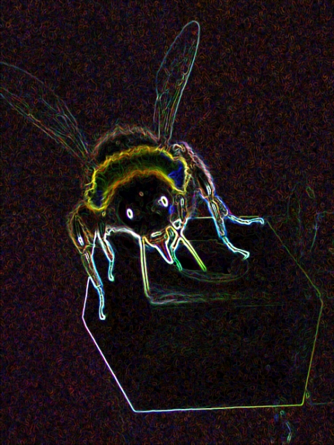 psychedelic bee