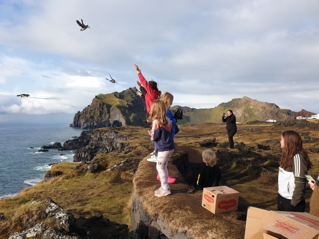 A group of children with arms outstretched on the coastline and pufflings flying overhead.