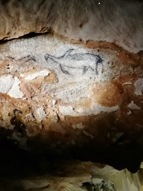 Cave paintings of Great Auks