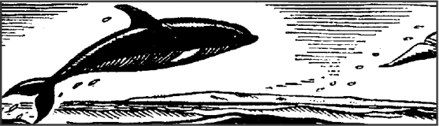 Black and white bitmap of Moby Dick.