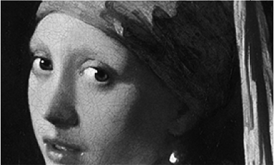 Woman with pearl earring by Vermeer in grayscale.