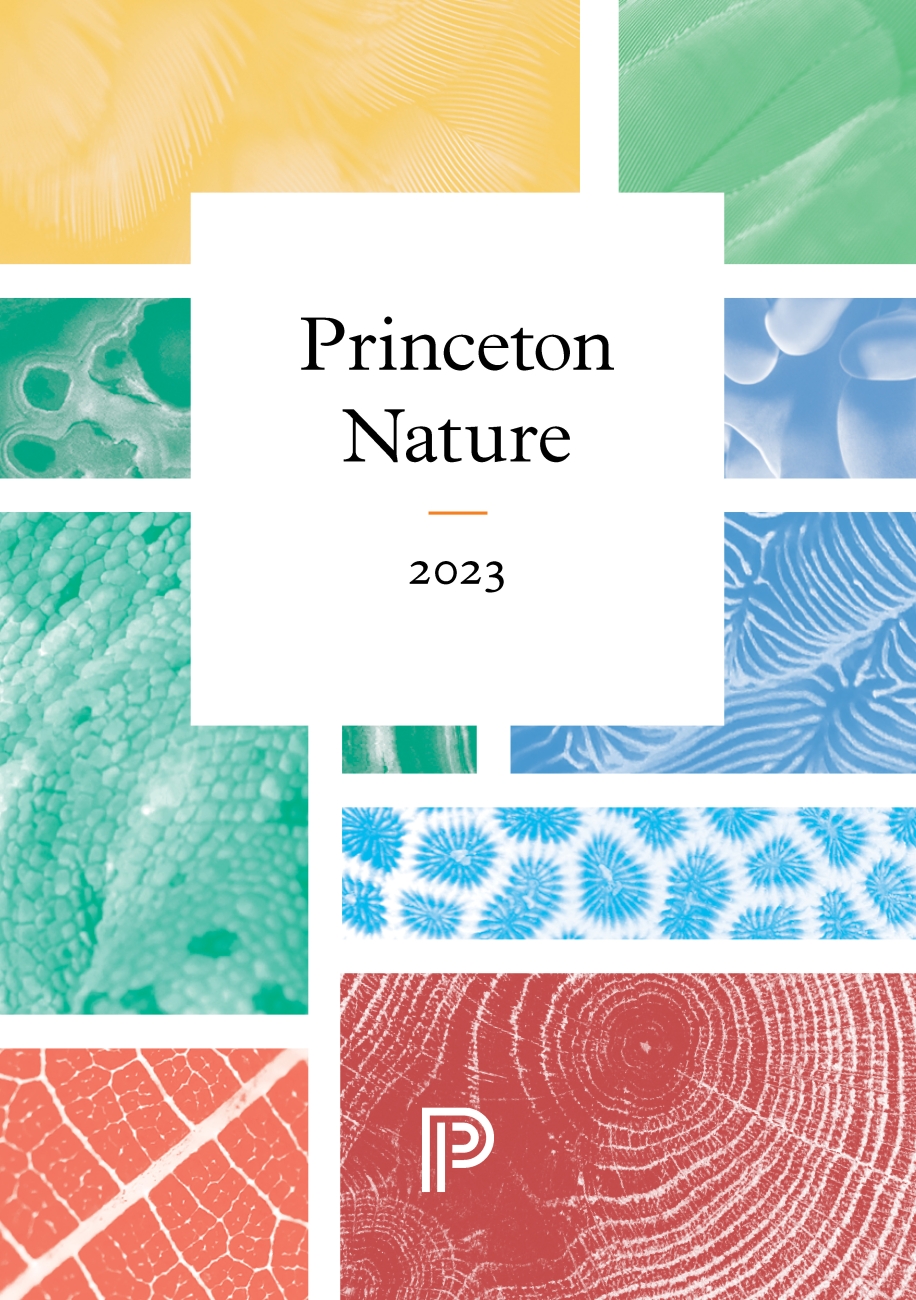 Colorful cover of Princeton Nature 2023 Catalog Cover