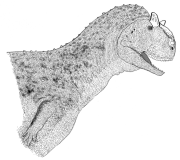 drawing of a dinosaur: Abelisaurids-Carnotaurus