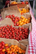 tomatoes at a market