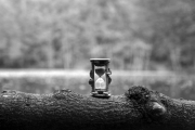 An hourglass sits on top of a log in a tranquil forest
