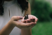 A butterfly rests in a woman's hands